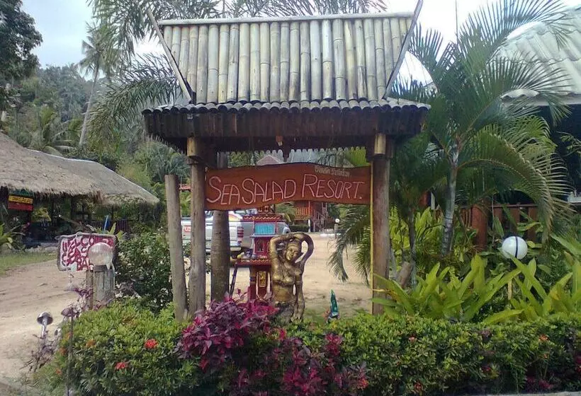 Fotos del hotel Sea Salad Resort:  20