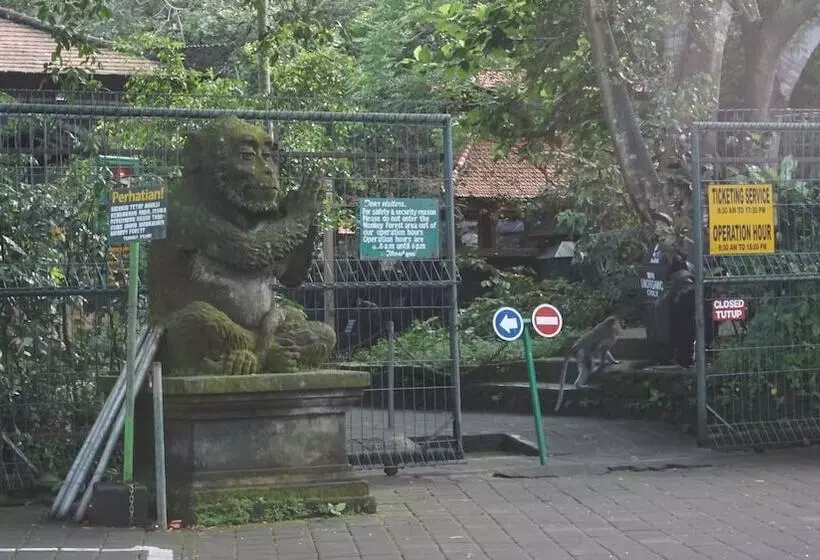 Fotos del hotel Loka Pala Villa:  6