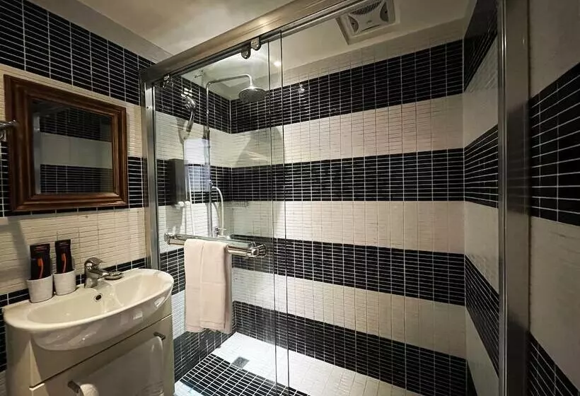 Fotos del hotel Mango:  7