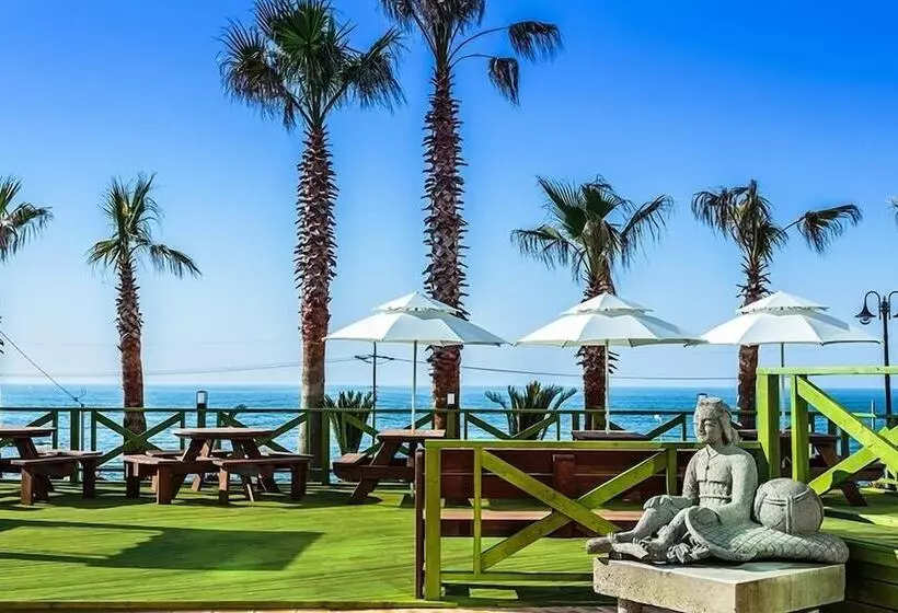 Fotos del hotel Rich:  12