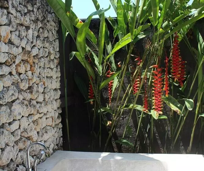 Fotos del hotel Oasis Canggu Bali:  11