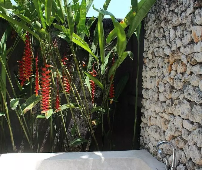 Fotos del hotel Oasis Canggu Bali:  14