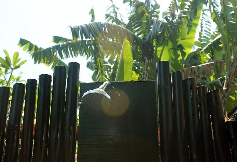 Fotos del hotel Oasis Canggu Bali:  17