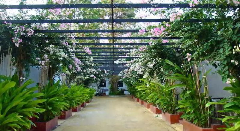 Fotos del hotel Amara Resort Hua Hin:  21