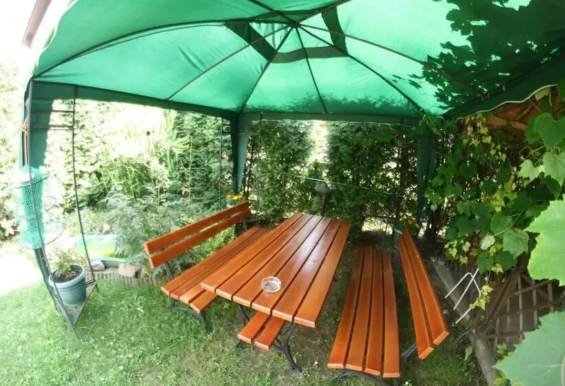 Fotos del hotel Daisy Superior:  22