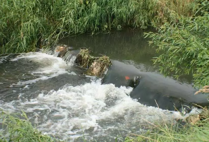 Fotos del hotel Daisy Superior:  25