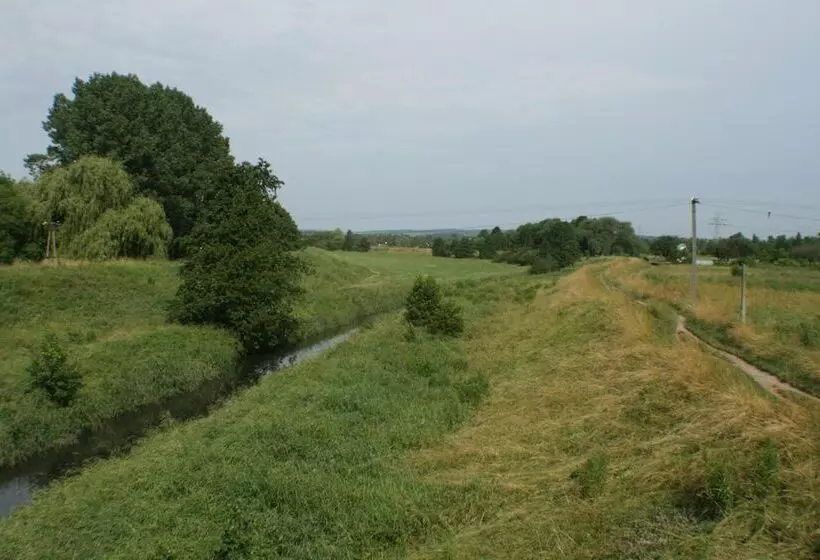 Fotos del hotel Daisy Superior:  28