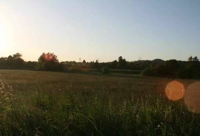 Fotos del hotel Daisy Superior:  29