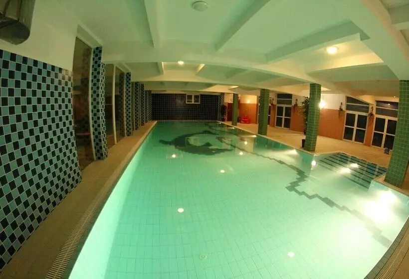 Fotos del hotel Daisy Superior:  15