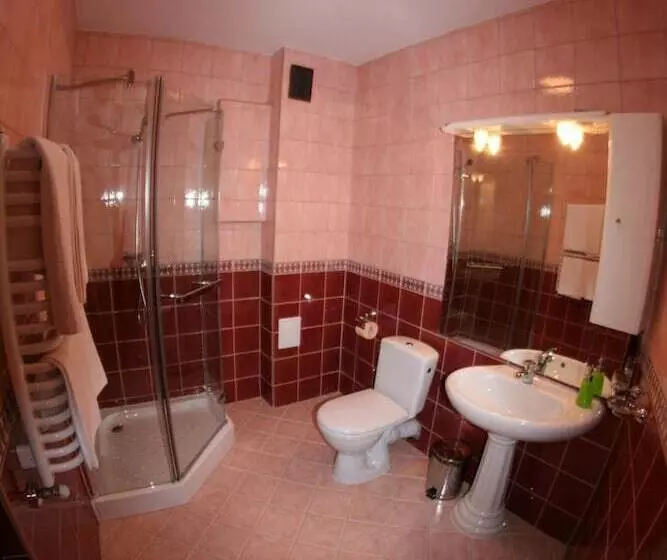 Fotos del hotel Daisy Superior:  23