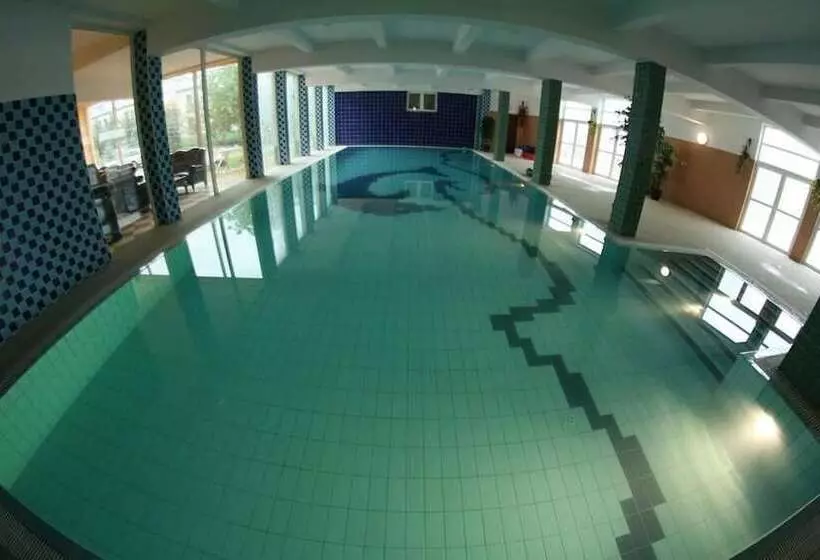 Fotos del hotel Daisy Superior:  12