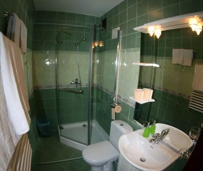 Fotos del hotel Daisy Superior:  24