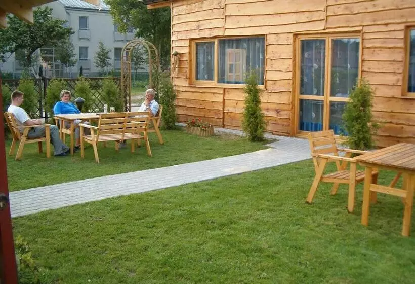 Fotos del hotel Daisy Superior:  5