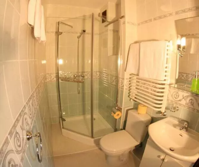 Fotos del hotel Daisy Superior:  6