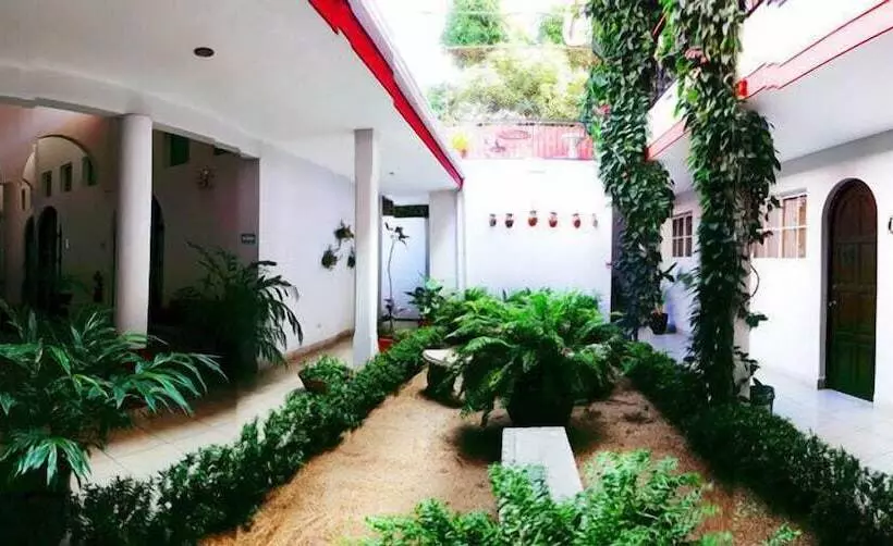 Fotos del hotel Executive Managua:  17