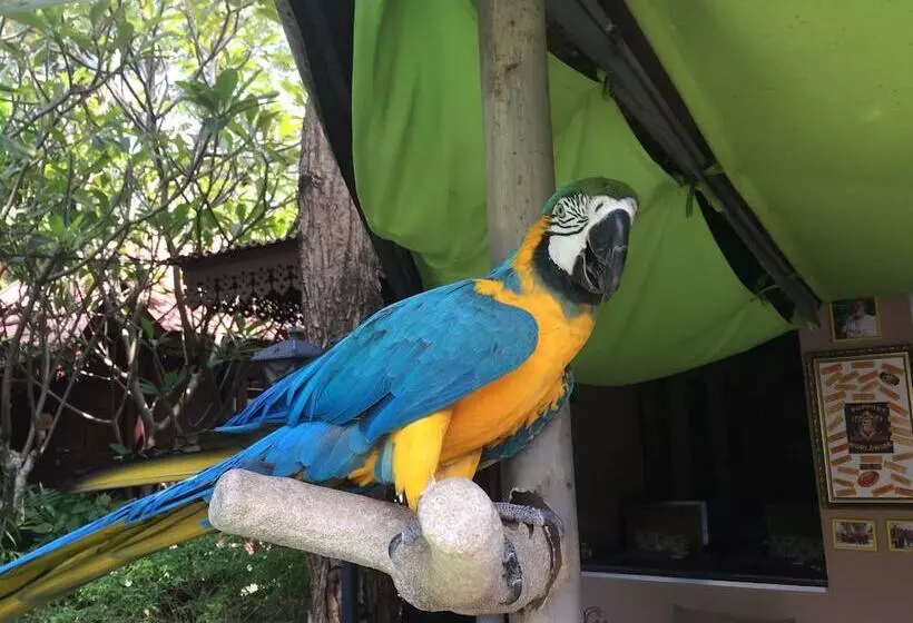 Fotos del hotel Momento Resort:  4