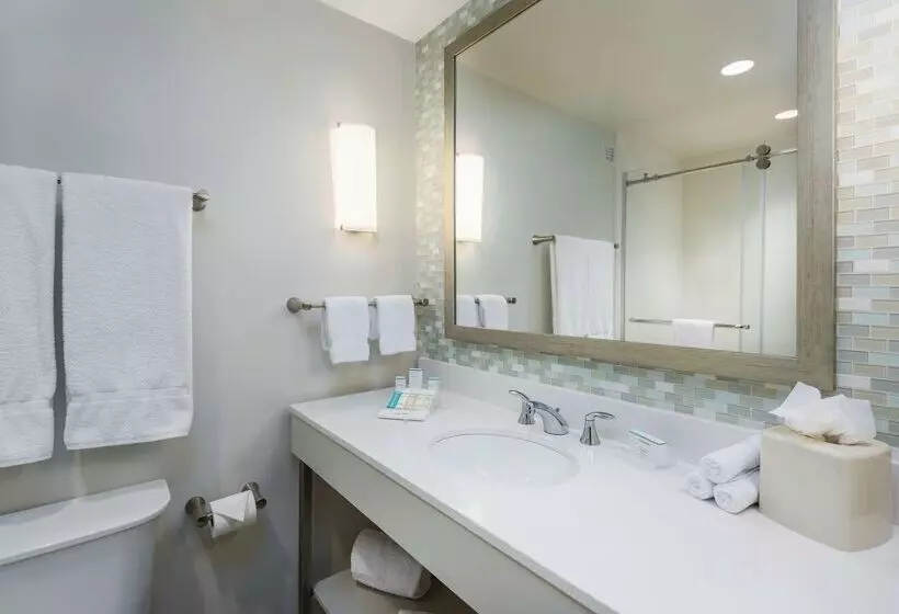 Fotos del hotel Hilton Garden Inn Miami Dolphin Mall:  20