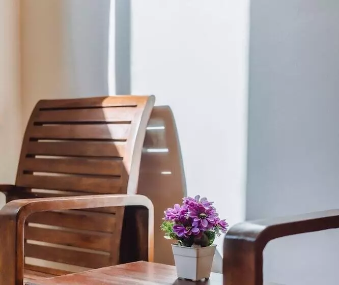 Fotos del hotel Bauman Ville:  10