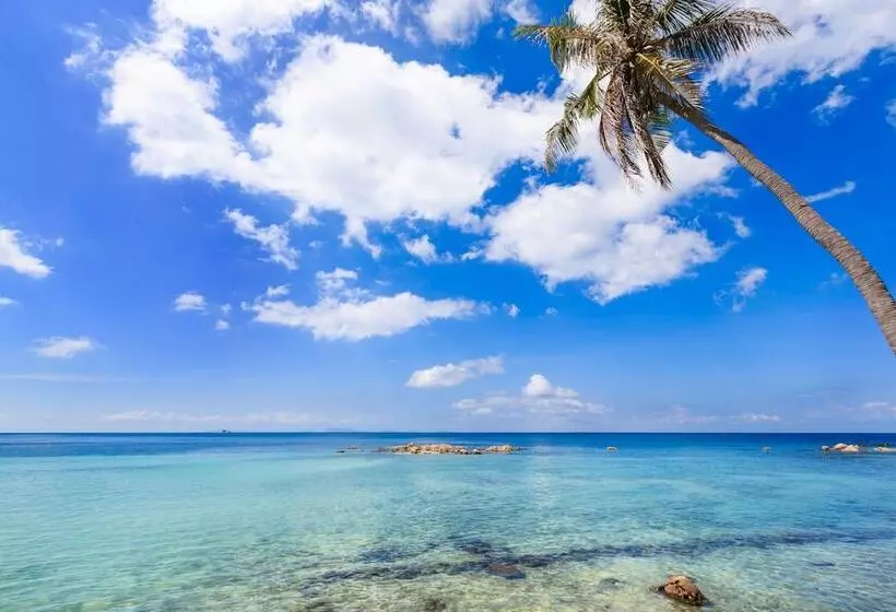 Fotos del hotel Beyond The Blue Horizon Boutique Bungalows:  16