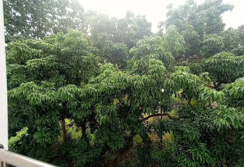 Fotos del hotel Chiangmai Lodge:  11