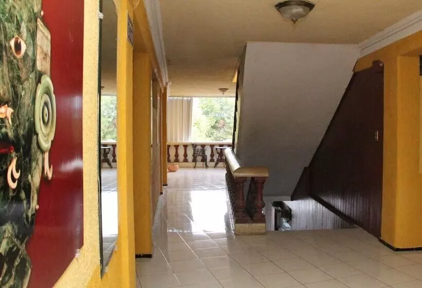 Fotos del hotel Suites Elia Noemi:  14