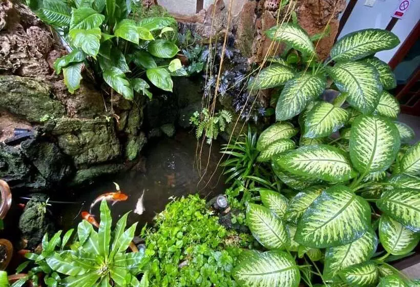 Fotos del hotel The Twenty Lodge:  4