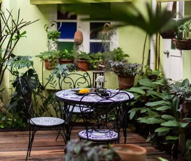 Fotos del hotel The Twenty Lodge:  3