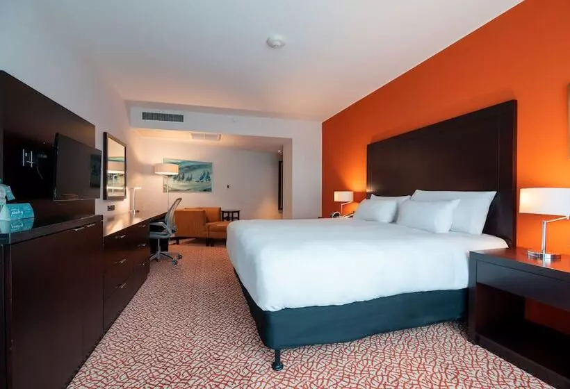 Fotos del hotel Hilton Garden Inn Montevideo:  21