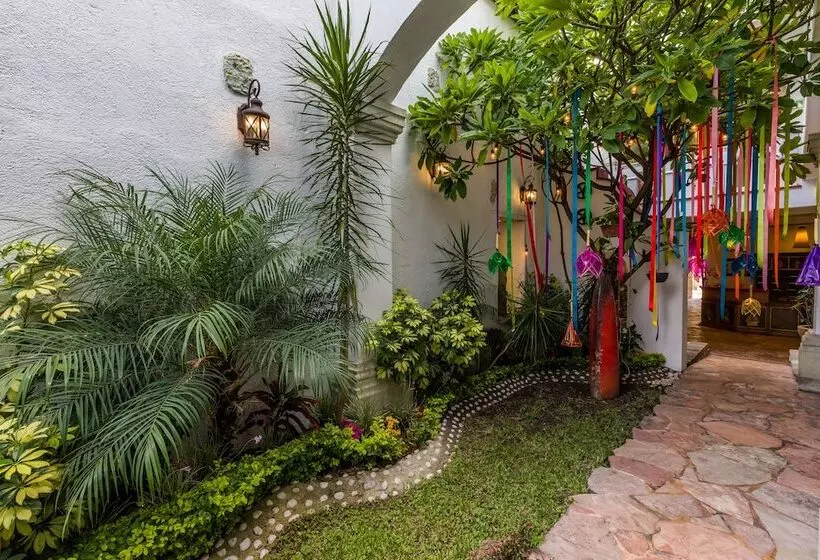 Fotos del hotel Oaxaca Inn Centro:  7