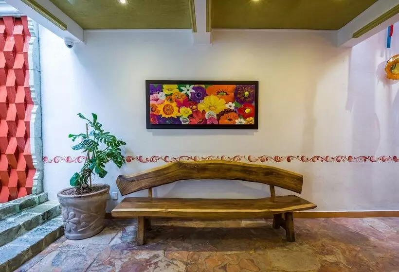 Fotos del hotel Oaxaca Inn Centro:  2