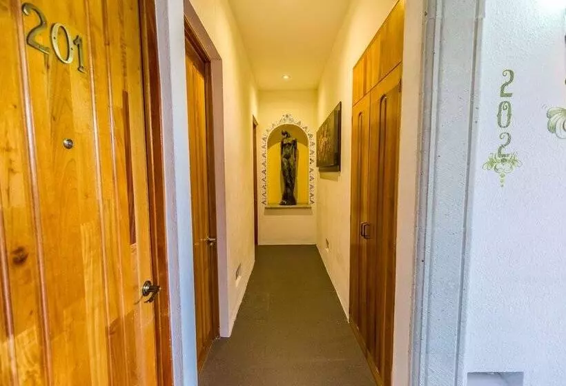 Fotos del hotel Oaxaca Inn Centro:  3