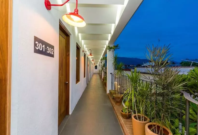 Fotos del hotel Oaxaca Inn Centro:  14