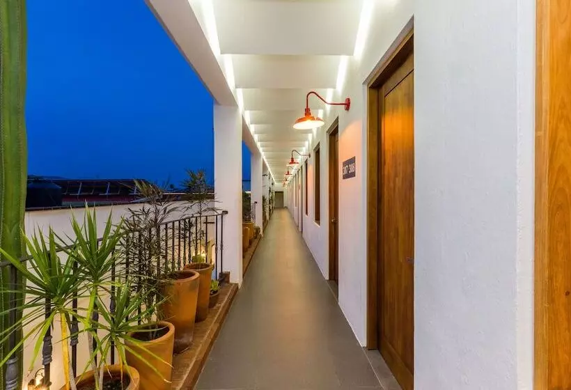 Fotos del hotel Oaxaca Inn Centro:  11