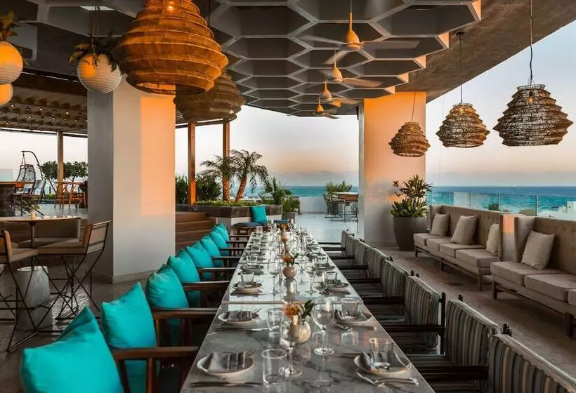 Fotos del hotel Thompson Playa Del Carmen  Adults Only:  16