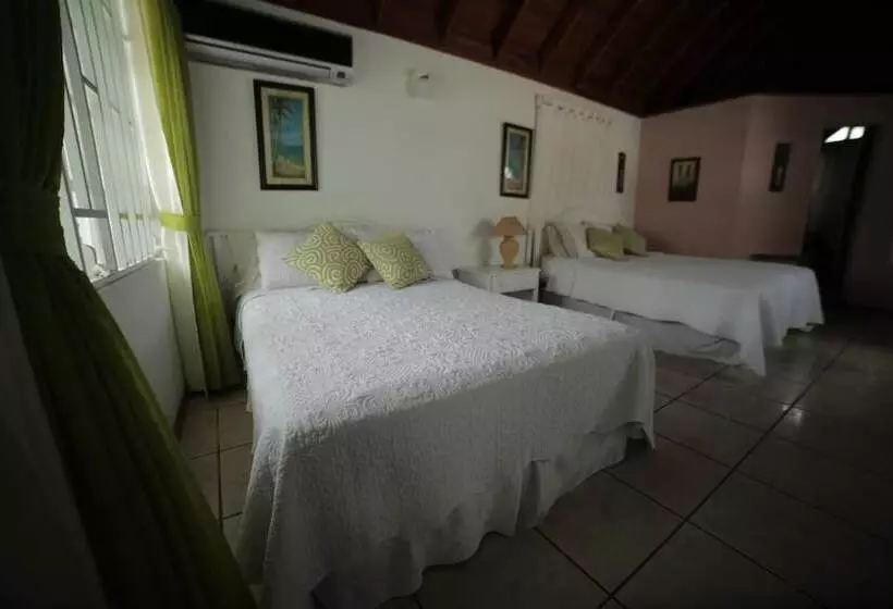 Fotos del hotel Casa Vip:  15