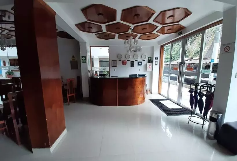 Fotos del hotel Flower S House:  6