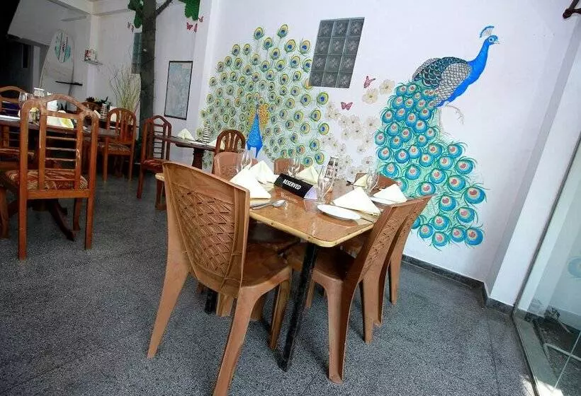 Fotos del hotel Siyanra Beach Resort:  16