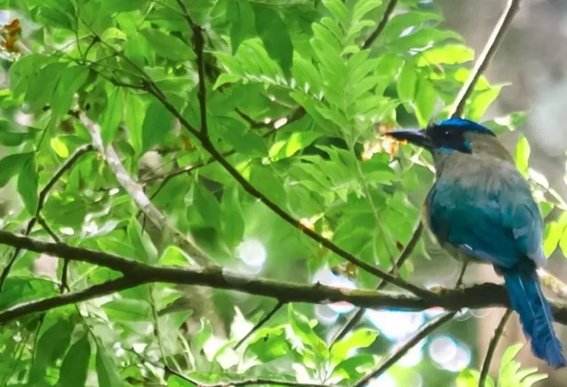 Fotos del hotel El Bosque Trails & Ecolodge:  10