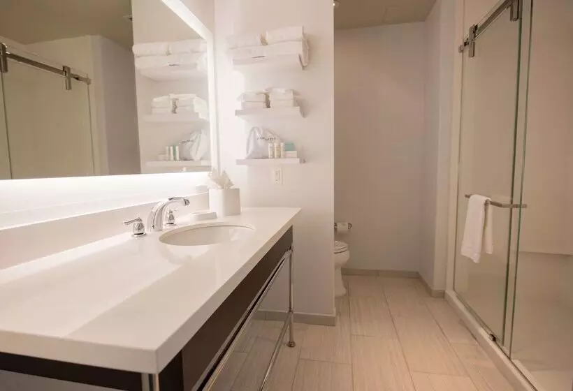 Fotos del hotel Hampton Inn & Suites Washington, D.c. - Navy Yard:  9