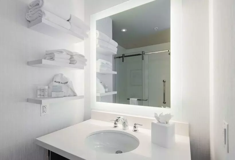 Fotos del hotel Hampton Inn & Suites Washington, D.c. - Navy Yard:  15