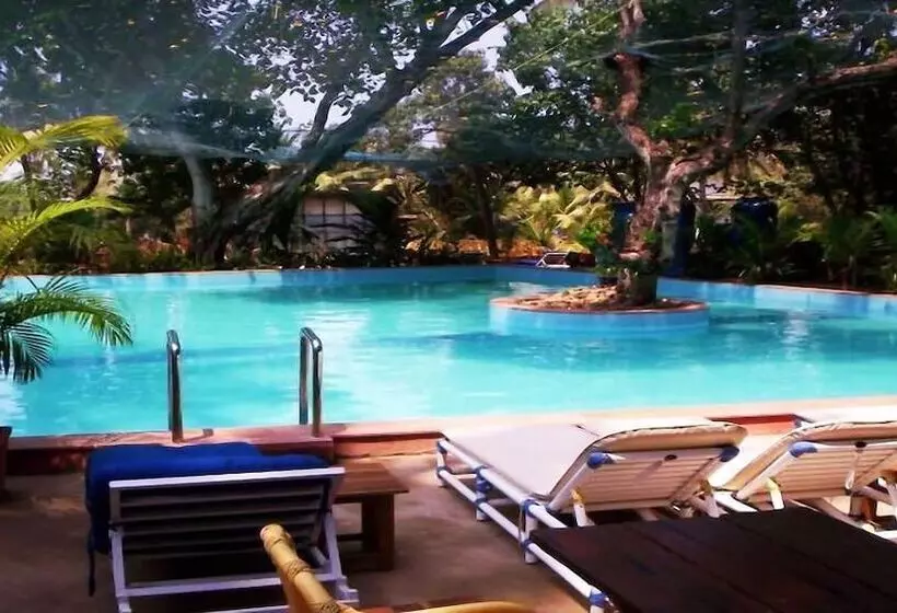 Fotos del hotel Little Italy:  11