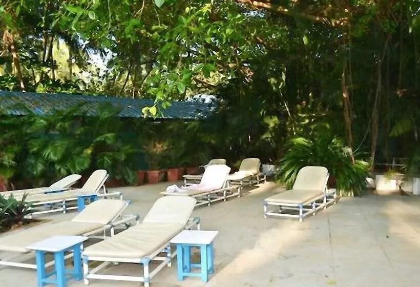 Fotos del hotel Little Italy:  16