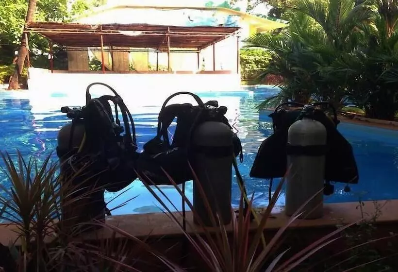 Fotos del hotel Little Italy:  5