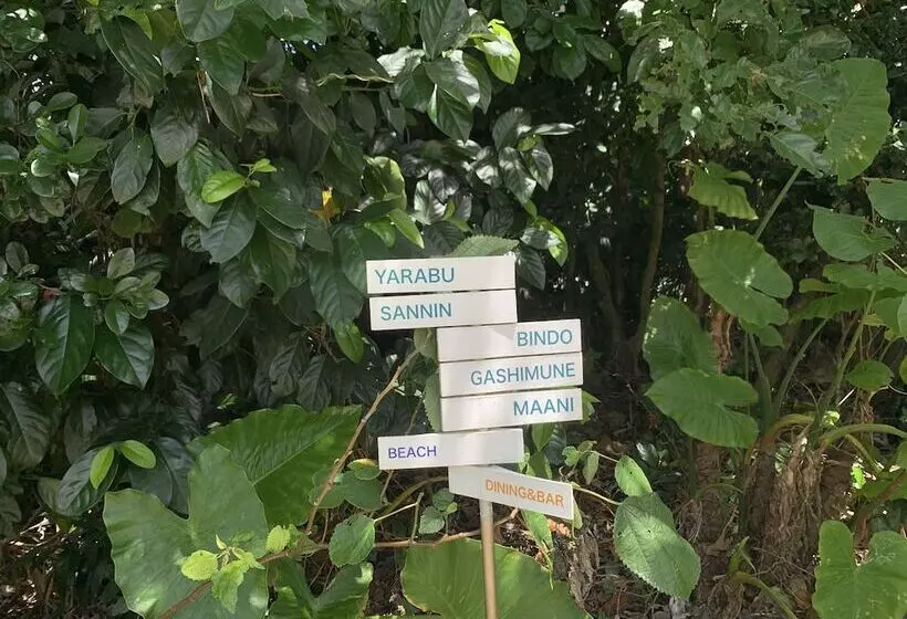 Fotos del hotel Jusandi:  10