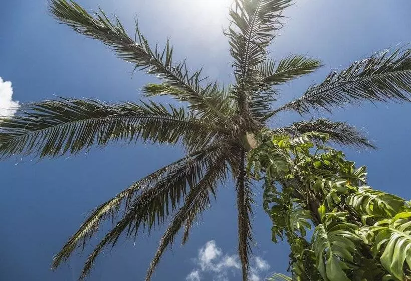Fotos del hotel Jusandi:  18