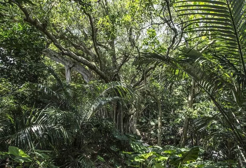 Fotos del hotel Jusandi:  14
