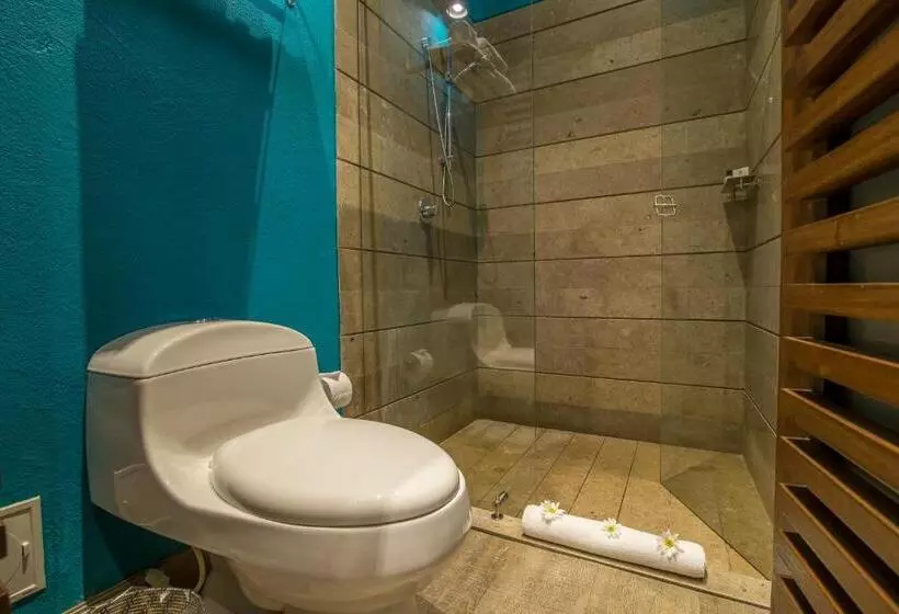 Fotos del hotel Sophia:  9