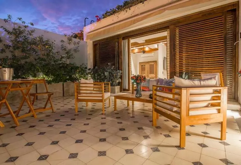 Fotos del hotel Sophia:  14