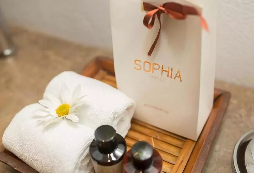 Fotos del hotel Sophia:  2