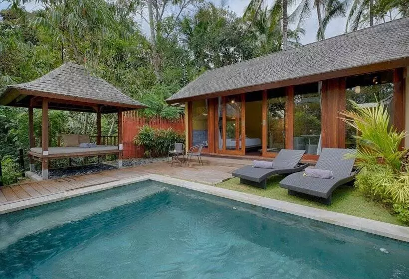 Fotos del hotel Samkhya Villas:  2